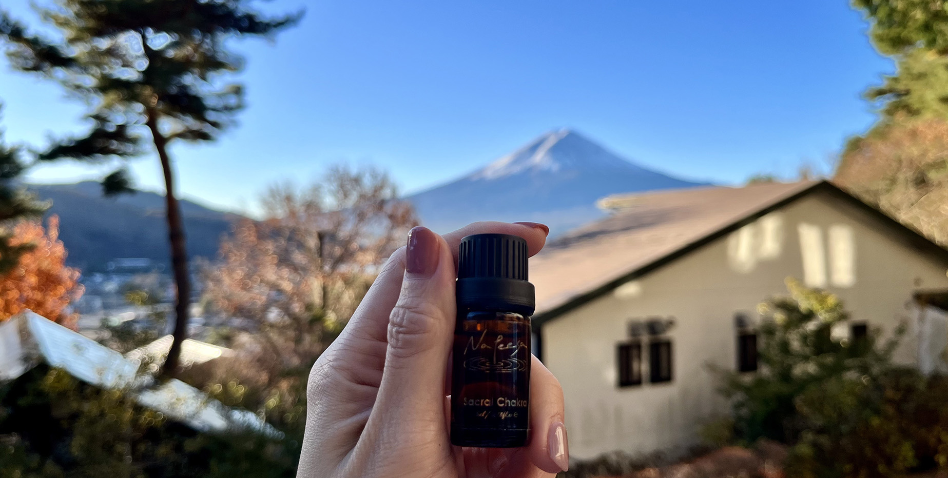 E76801F3-3442-40CF-88CD-30E9A95A482B